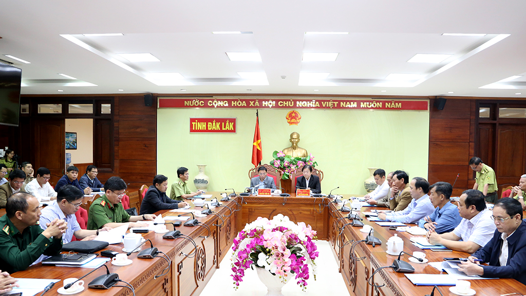 Hội nghị tổng kết đánh giá công tác quản lý, bảo vệ và phát triển rừng năm 2022 